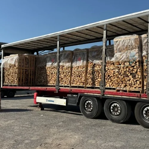 Legno di betulla – Carico camion (48 steri) – Tronchi da 50 cm – Imballaggio professionale